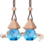 2-Pack Ocean Scent Hanging Car Air Freshener