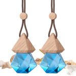 2-Pack Ocean Scent Hanging Car Air Freshener