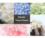 4-Pack 10ml Glass Hanging Car Perfume Bottle Flower - Image 2
